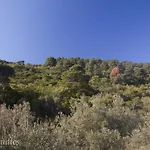 Skalopati & * Panormos (Skopelos)