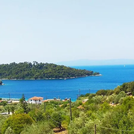 Skalopati & *