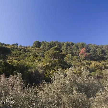 Skalopati & * Panormos (Skopelos)