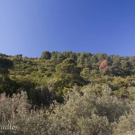Skalopati & * Panormos (Skopelos)