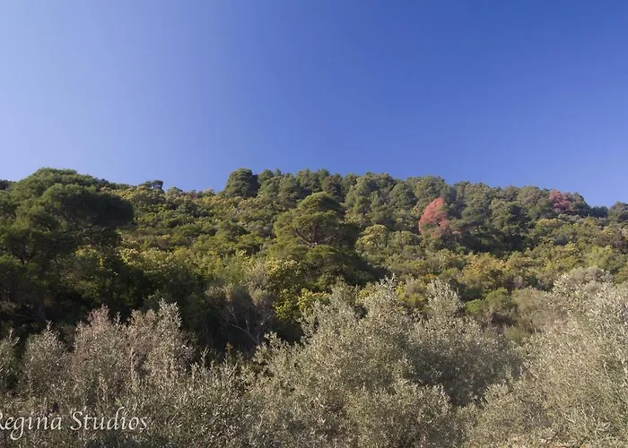 Skalopati & * Panormos (Skopelos)